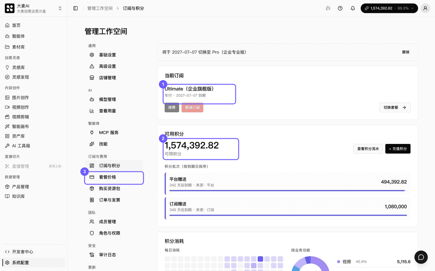 查看当前订阅、可用积分和费用入口